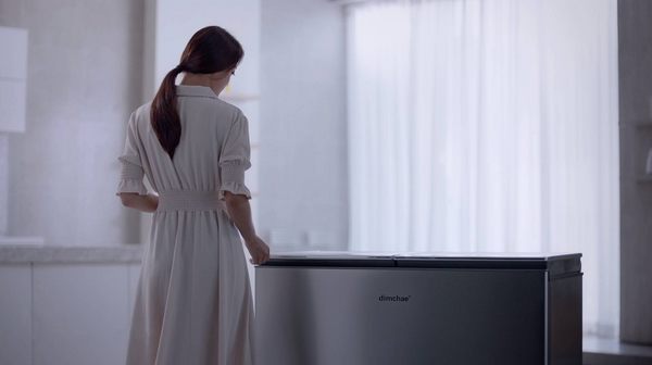 Dimchae Satin Silver Slim Lid-Type Kimchi Refrigerator 221 L ( 딤채 슬림/실버 뚜껑형 김치냉장고 ) - DL22B-ESUS